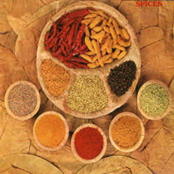 spices-250x250